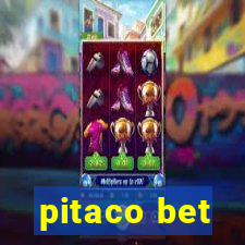 pitaco bet